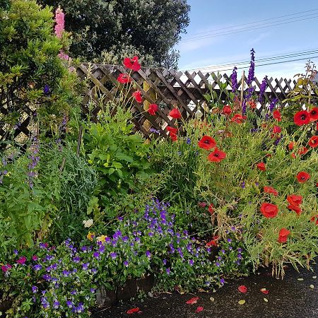 The Green House B&B Whitianga Luaran gambar