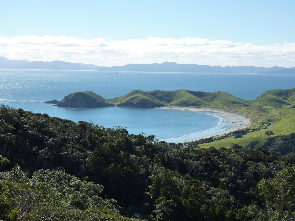 The Green House B&B Whitianga Luaran gambar