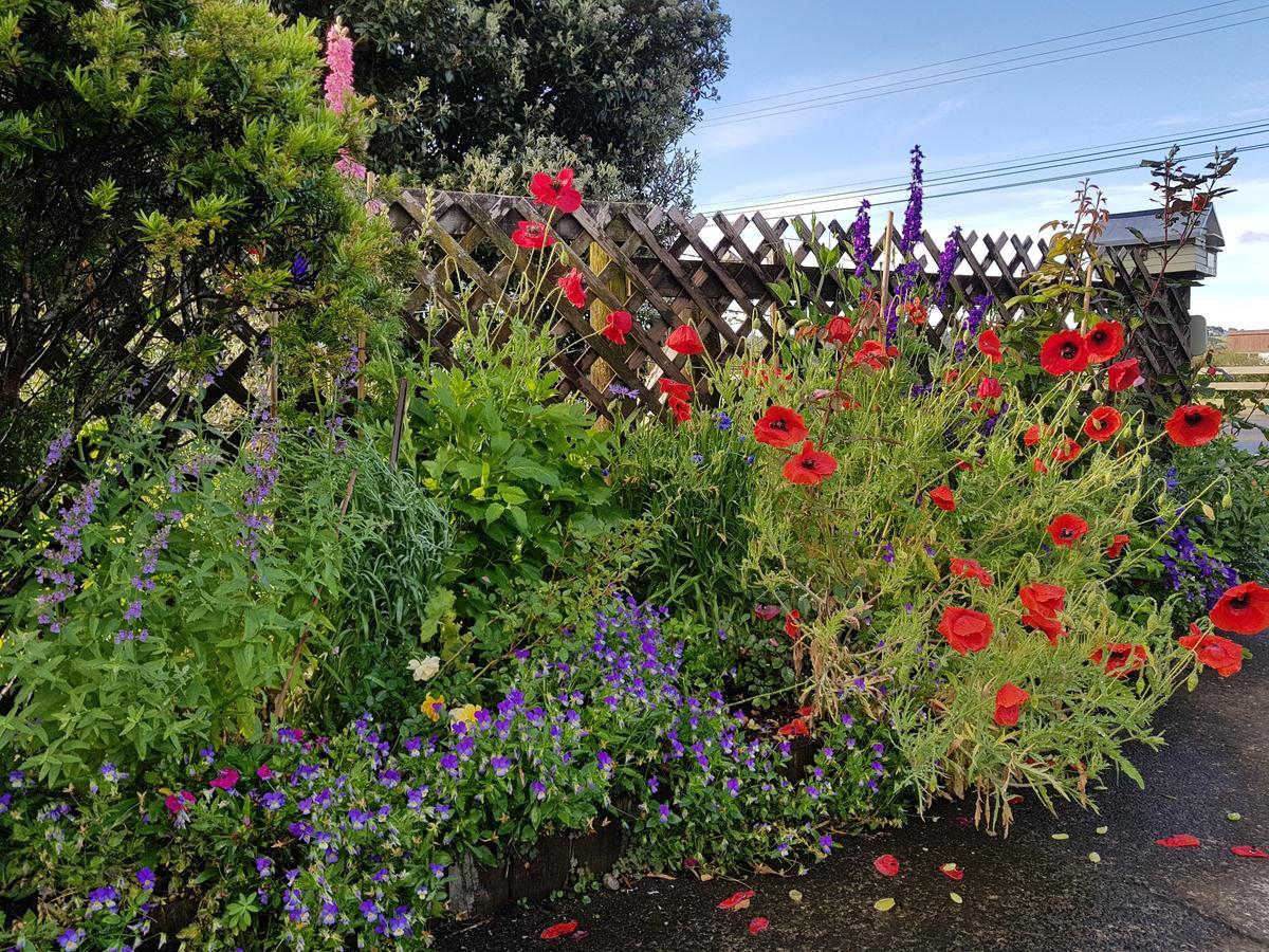 The Green House B&B Whitianga Luaran gambar