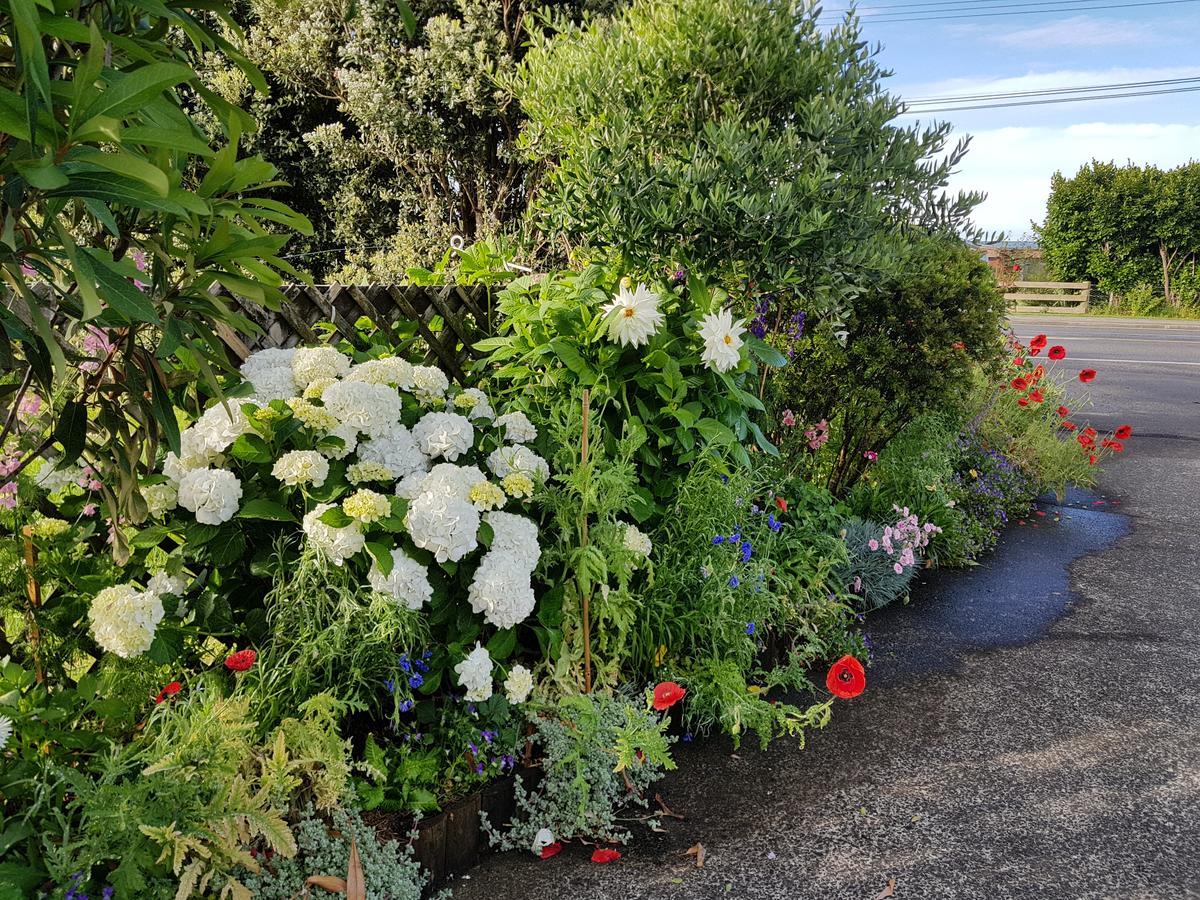 The Green House B&B Whitianga Luaran gambar